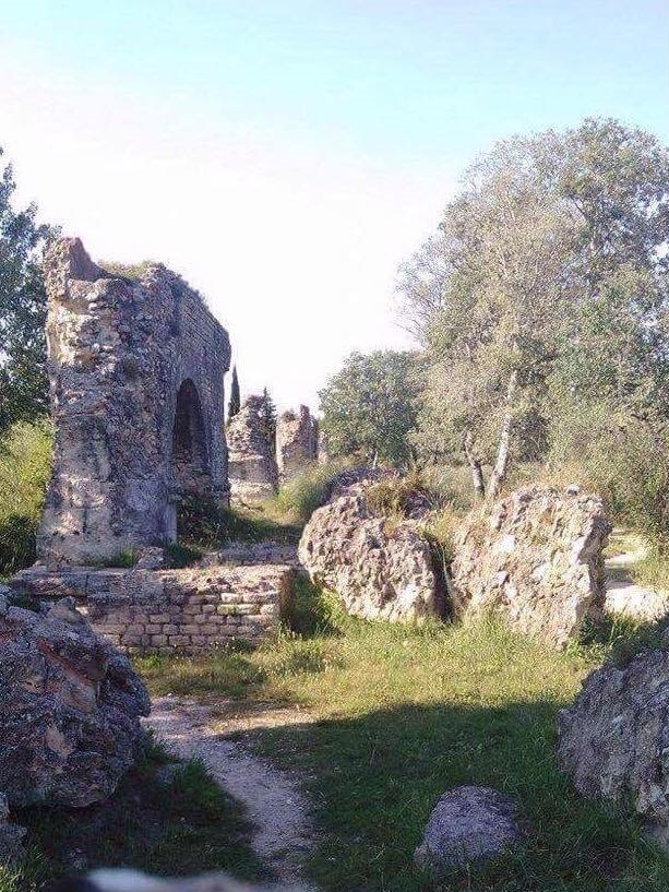 19399767_10213063185475476_4558622818270798088_n